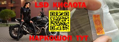 стаф Берёзовский