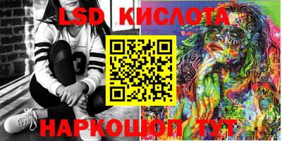 стаф Берёзовский