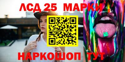 стаф Берёзовский