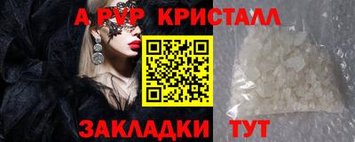 стаф Берёзовский
