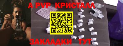 стаф Берёзовский