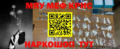 стаф Берёзовский