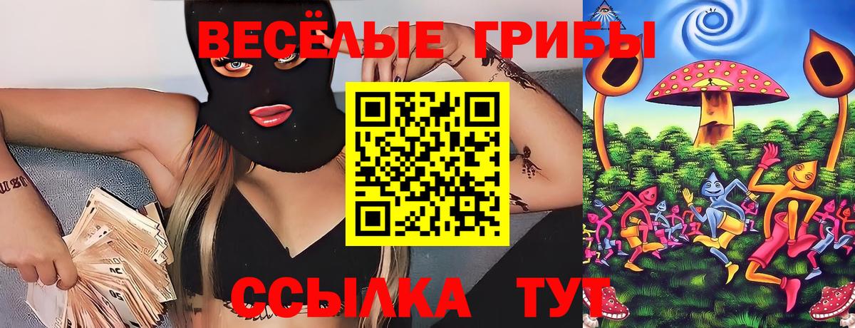 Кемерово  Псилоцибиновые грибы Psilocybe  Вход с VPN 